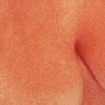 Caminho dos Seios. Ensaio sensual A Vida Secreta no Dia Internacional da Fotografia.